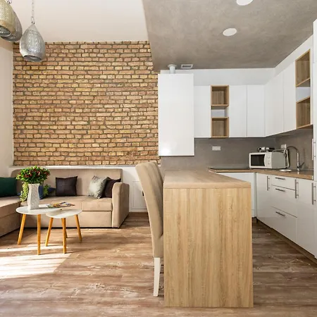 公寓 Spacious & Minimalistic In Downtown 塞拉耶佛