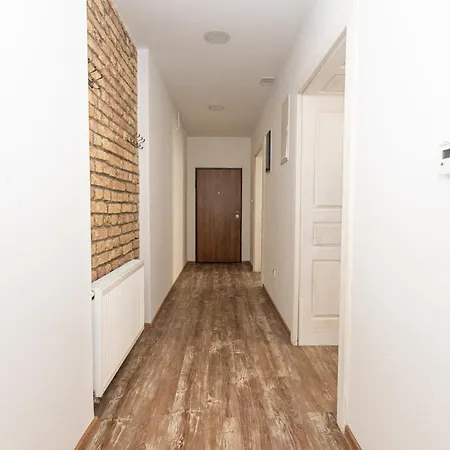 Spacious & Minimalistic In Downtown *